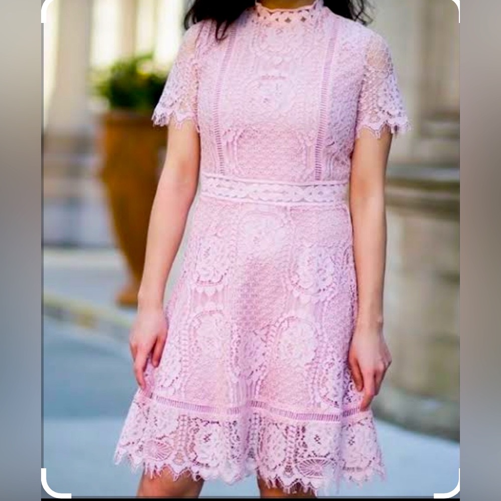 BB Dakota Pink Flutter Sleeve Midi Dress